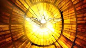 holy ghost dove of peace stained glass